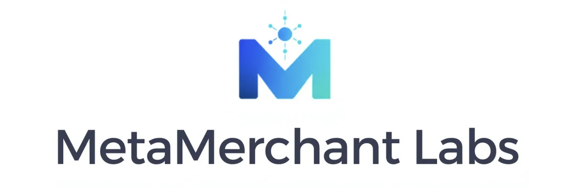 MetaMerchant Labs | 14 Years Of Success Stories